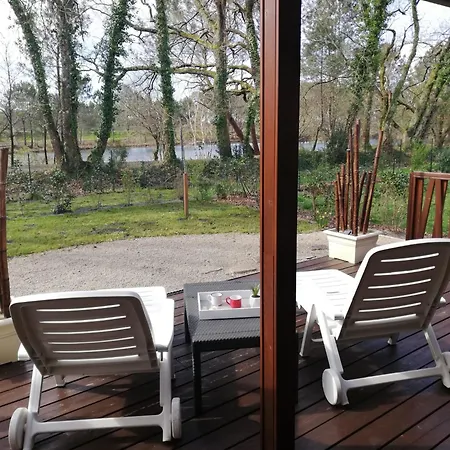 19 Cosy Bord De Lac, Dans Domaine Avec Piscine Couverte Accueil 4 Voyageurs Loumaelou シャレー